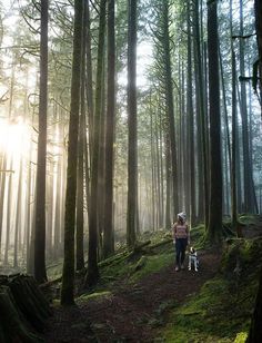 a woman and her dog are walking in the woods