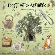 Water Of Whimsy, Forest Witch Aesthetic, Aesthetic Print