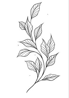 Tattoo Leaves Design, Vine Outline Tattoo, Leaf And Vine Tattoos, Leaf Tattoos Men, Red Leaves Tattoo, Leaves Tattoo Drawing, Small Tropical Tattoos For Women, Linework Tattoo Stencil