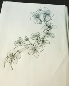 a drawing of some flowers on a piece of paper