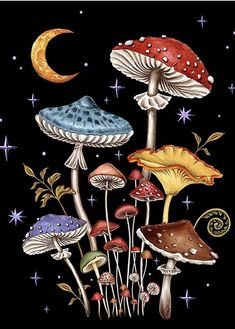 a painting of mushrooms with the moon and stars in the sky behind them on a black background