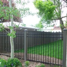 a fenced in yard with green grass and trees