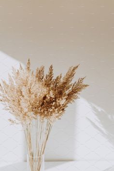 a vase filled with lots of dried flowers on top of a white table next to a wall