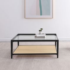 a glass table with a potted plant on top in front of a white wall