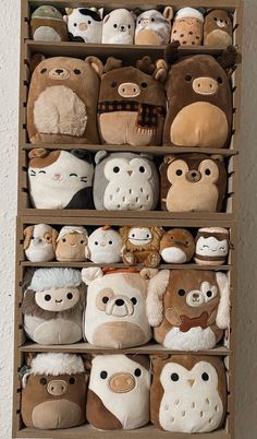 a shelf filled with lots of stuffed animals on top of wooden shelves next to a wall