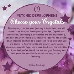 Psychic Development Learning, Herbal Education, Tarot Cards For Beginners, Witchcraft Books, Earth Gift, Energy Healing Spirituality, Spiritual Encouragement, Psychic Development, Crystals Healing Properties