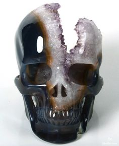 the skull is made out of glass and has two teeth