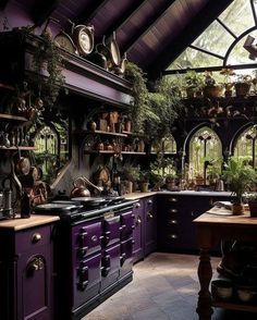 an old fashioned kitchen with purple cabinets and pots on the stove top, surrounded by potted plants