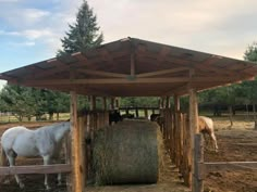 two horses are eating hay in their pen