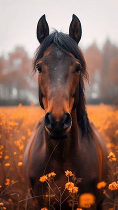 a brown horse standing on top of a lush green field next to tall yellow flowers