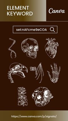 Canva Element and Illustration Keyword for Scientific Illustration Collection - set_nAFcme9eCOA | Canvas learning, Graphic design lessons, Graphic shapes design Canva Gothic Elements, Canva Illustration Keyword, Canvas Elements Keyword, Canva Graphics Keywords, Canva Codes Elements, Kode Canva, Canva Elements Ideas, Canva Illustration