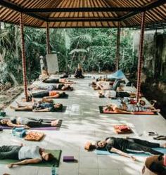 a group of people laying on their stomachs in yoga mats