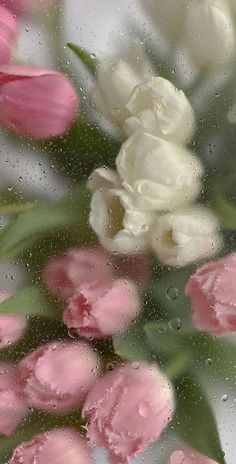 pink and white flowers are seen through the raindrops on a glass window with water droplets