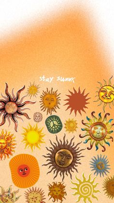 an orange background with many different types of sunflowers