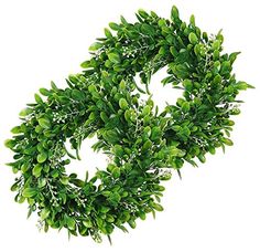 a green leafy wreath on a white background