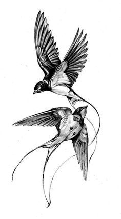 two birds flying next to each other in the air