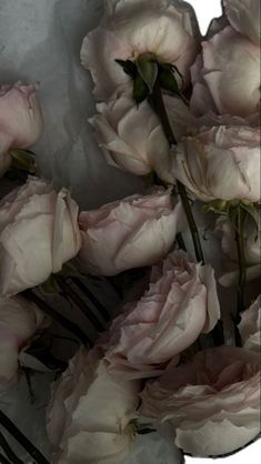 some pink flowers are in a glass vase