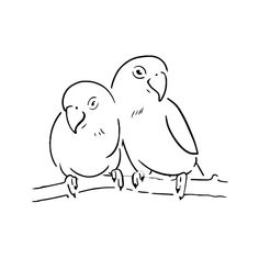 two birds sitting on top of a branch with their beaks touching each other's eyes