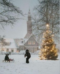 two people walking in the snow with a dog and sled next to a christmas tree