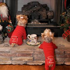 two small dogs in red sweaters standing next to each other on a fireplace mantel