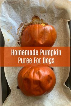 homemade pumpkin puree for dogs is an easy way to use it in the oven