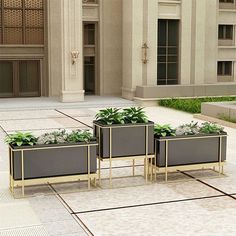 three planters with plants in them on the ground