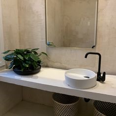 a bathroom with a sink, mirror and plants on the counter top in front of it