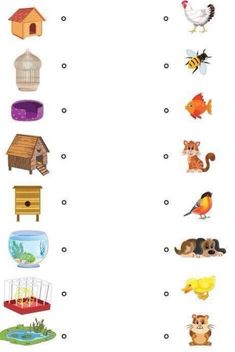 a worksheet with pictures of animals and birds in the form of letters that spell out