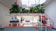 an open kitchen with plants growing on the roof