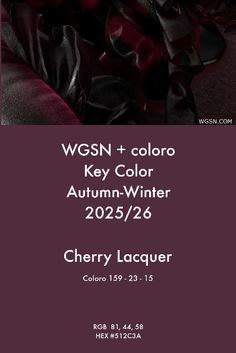 a poster with the words wgsn + color key color autumn - winter 202 / 26 cherry lacquer