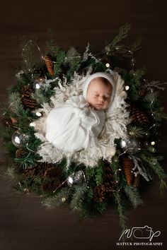 a newborn baby wrapped in a blanket surrounded by pine cones and christmas lights