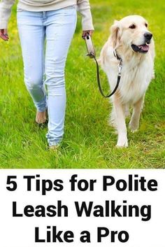 a woman walking her dog on a leash with the words 5 tips for polite leash walking like a pro