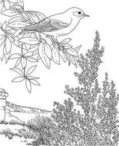 a black and white drawing of a bird on a tree branch with flowers in the foreground