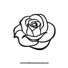 a black and white drawing of a rose