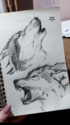 a person holding up a drawing of two wolfs with their mouths open and teeth out