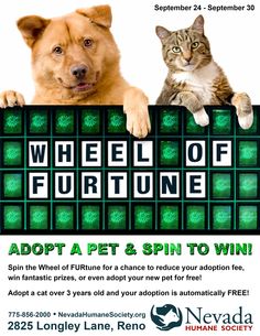 a dog and cat sitting next to each other in front of a sign that says wheel of furtune adopt a pet & spin to win