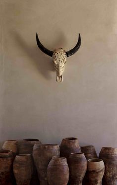 several vases are lined up in front of a wall with a cow's skull on it