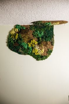 a piece of art made out of moss and rocks on top of a white wall