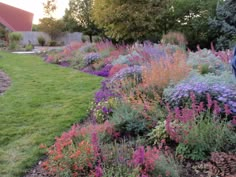 a garden with purple flowers and green grass