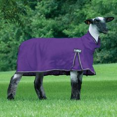 Weaver Leather ProCool Mesh Sheep Blanket Medium Purple Goat Blanket, Goat Supplies, Ventilation Block, Sheep Blanket, Leg Movement, Show Goats, A Barrier, Showing Livestock, Unique Blankets