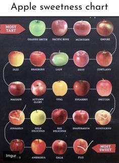 an apple chart with different types of apples