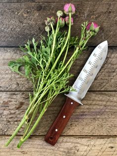 a knife and some flowers on a wooden table