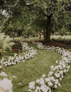 white flowers are in the grass near benches