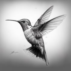 a black and white photo of a hummingbird in flight with its wings spread open