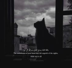 a cat sitting in front of a window with an arabic quote on the outside wall