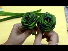 two green flowers are being held by someone's hands