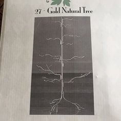 a book with an image of a tree on it's cover and the title, 47 gold natural tree