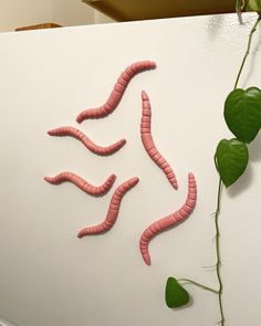 some pink worms are on the side of a white wall next to a green plant