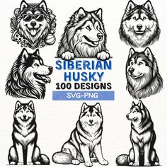 siberian husky dog illustrations in black and white