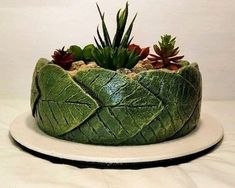 a green planter with succulents in it sitting on a white plate